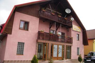 בית מלון כפרי Pensiunea Bujor De Munte