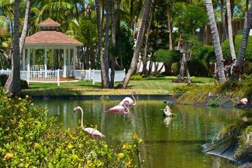 호텔 Catalonia Punta Cana - All Inclusive