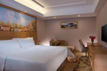 Vienna Hotel Shenzhen Nanshan Yilida