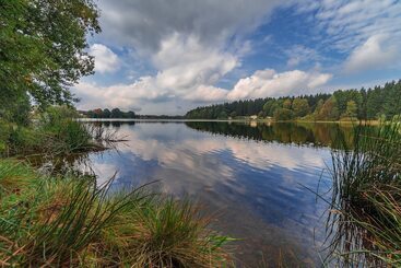 호텔 Waldsee Feriendienst  Ferienpark Am Waldsee