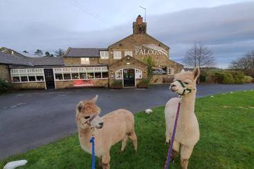 مبيت وإفطار The Falcon Inn