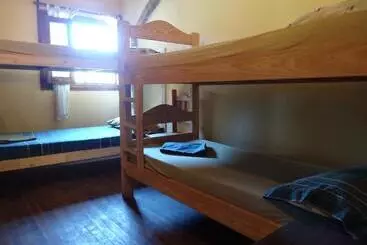 Tree House Hostel