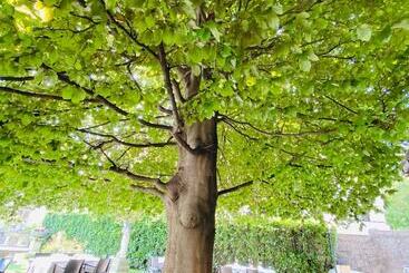 Villa Nasti Hotel Ristorante