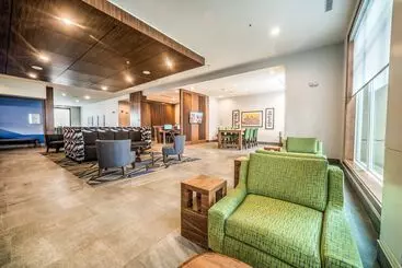 Hotel Holiday Inn Express & Suites   West Edmonton Mall Area, An Ihg