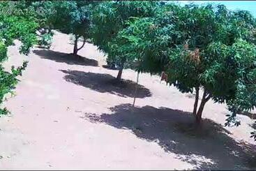 Pension Home Boy Lodge