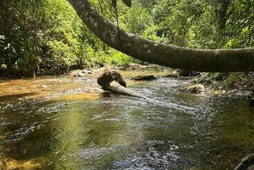 בית מלון כפרי Riverside La Masía Eco