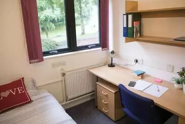 هاستل Andrew Stewart Hall