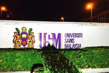 Otel Usm Designer Dwell