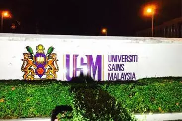 Hotel Usm Designer Dwell