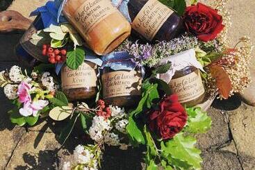 Agriturismo Ca Lucano