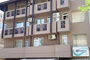 Family Hotel Electra
