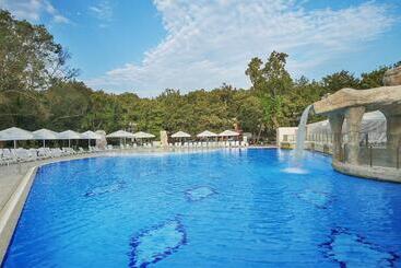 Отель Forest Beach