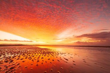 הוסטל Cool Bananas Backpackers