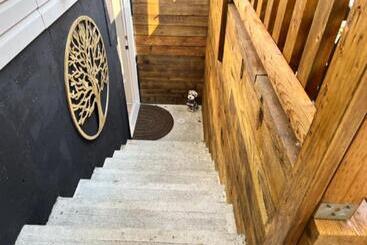 פנסיון Yellow Door Suite