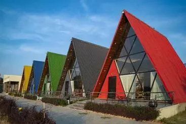 Resort Sunflower Saga