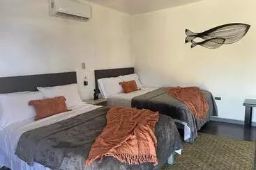 Aparthotel Bungalow Ballena C/vistas Increíbles Al Océano Pacífico