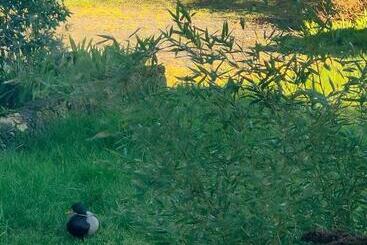 Bed and Breakfast Le Cardoué, Gíte Au Cœur Du Bocage Vendéen