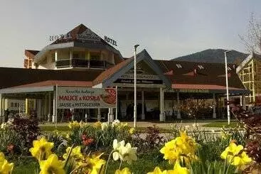 Hotel Dravograd