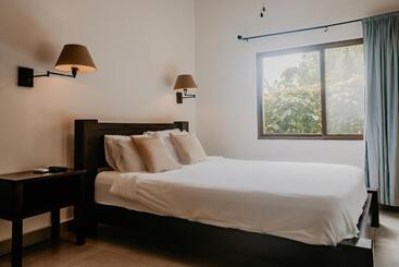 Hotel The Golden Frog Inn