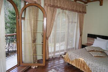 בית מלון כפרי Dykyi Med