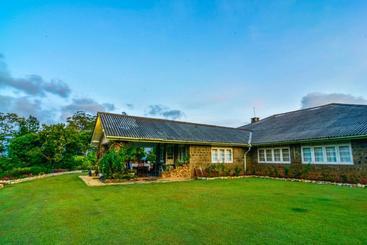 Отель Kirchhayn Bungalow