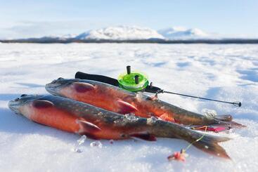 הוסטל Saxnäsgården Hotell & Konferens