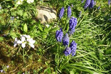 Bed and Breakfast Chez Jean Et Daisy