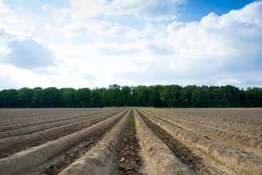 בית מלון כפרי B&b, Brasserie Lakerhof