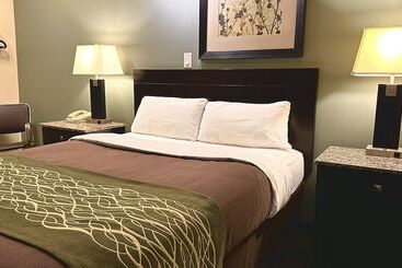 モーテル Lacombe Motor Inn