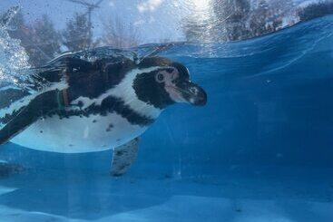 Richmond Hotel Akita Ekimae