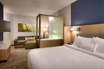 ホテル Springhill Suites By Marriott Idaho Falls