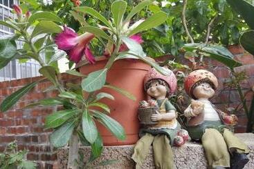 Light Dew Bed And Breakfast