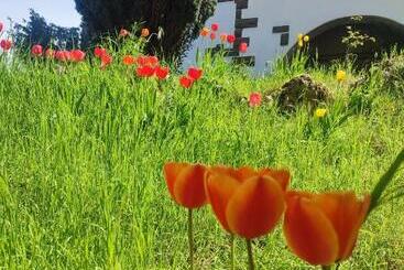 D Aiano Guest House B&b