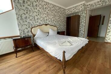 پانسیون Ambasador