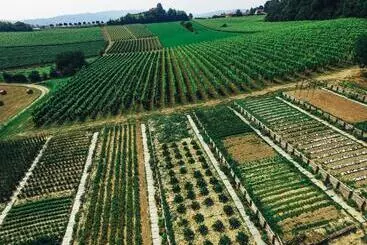 Hospedaria Le Magnolie