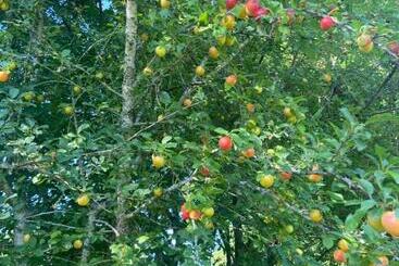 膳宿费 La Grange De Garac