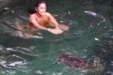 Nocleg ze śniadaniem Baraka Aquarium Bungalows