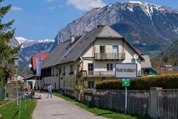 Alpakas, Lamas Und Rentiere Zum Grünen See