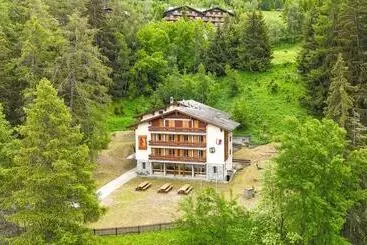Pension  Chalet De L Ours Authentic Etage Penthes 14 Pers