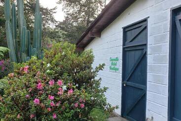 Pensiune Ensenillo Hotel Boutique