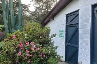 ペンション Ensenillo Hotel Boutique