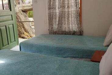 Bed and Breakfast Antony S Garden House