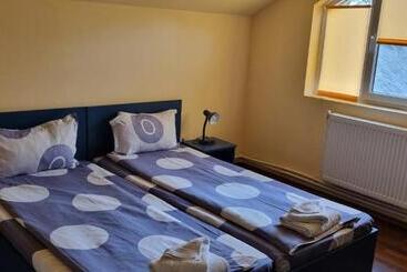 住宿加早餐  Pension Puiu