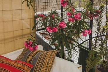 בית מלון כפרי Patio Yungay