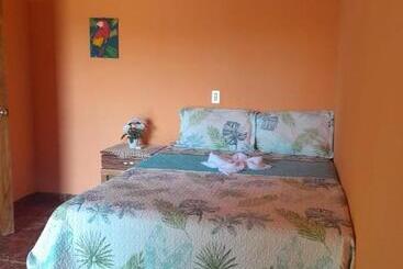 پانسیون Hostal Adonis