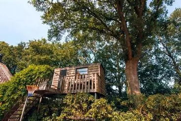 Aamiaismajoitus (B&B) Bed & Brood Morgenrood