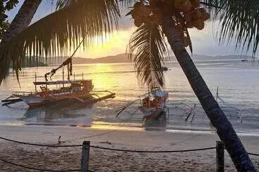 ホテル The View   Jungle Lodges   Port Barton