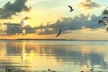 بنسيون Potters Paradise