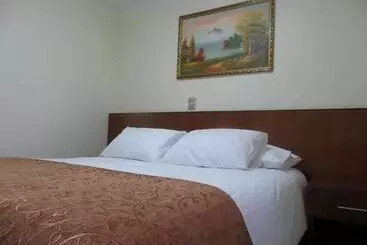 Hotel Newen