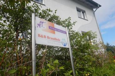B&b Brandholz